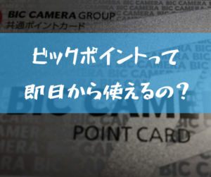 ビックカメラ ポイントは即日利用できる 利用できない条件とは